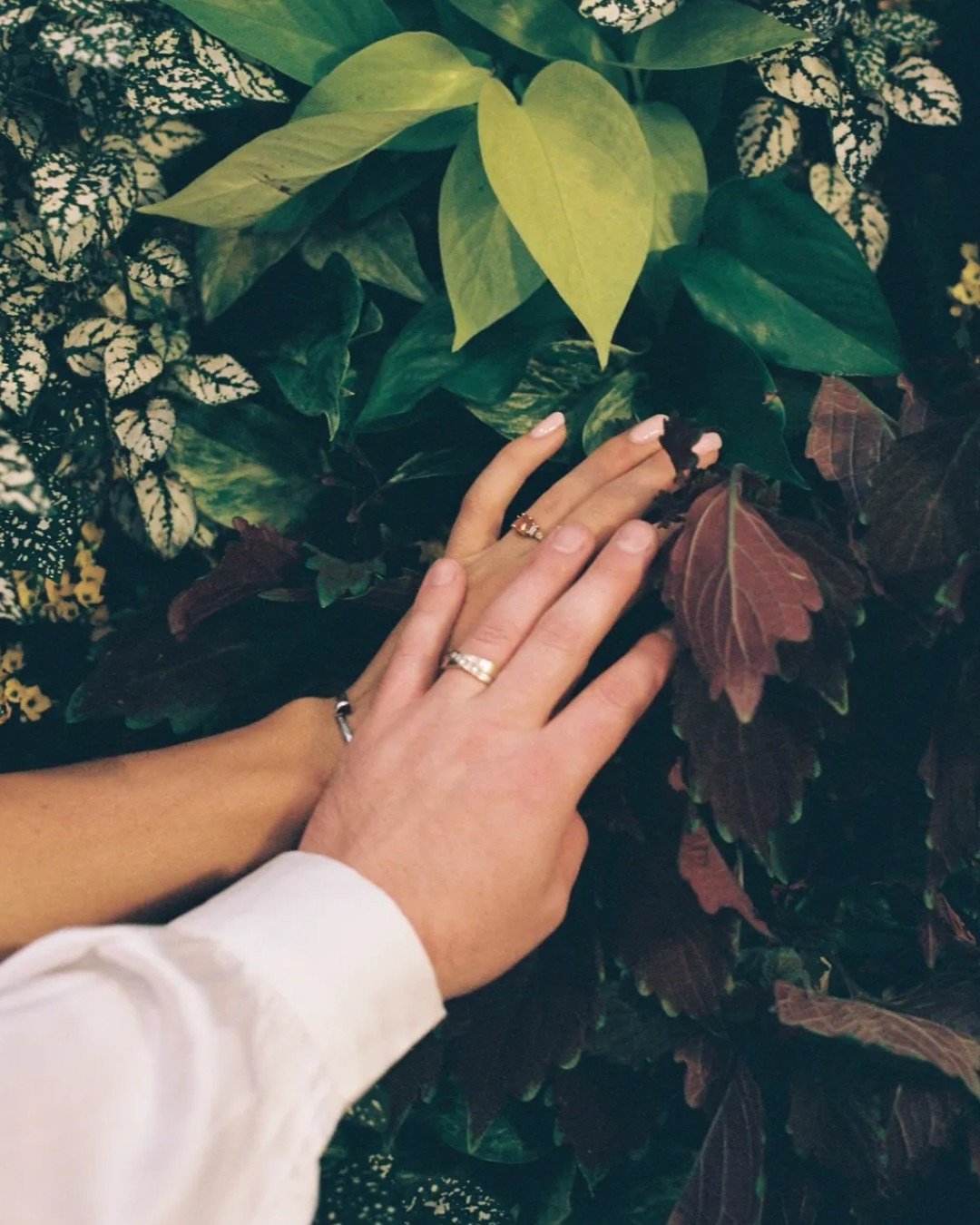  Botanical Romance 