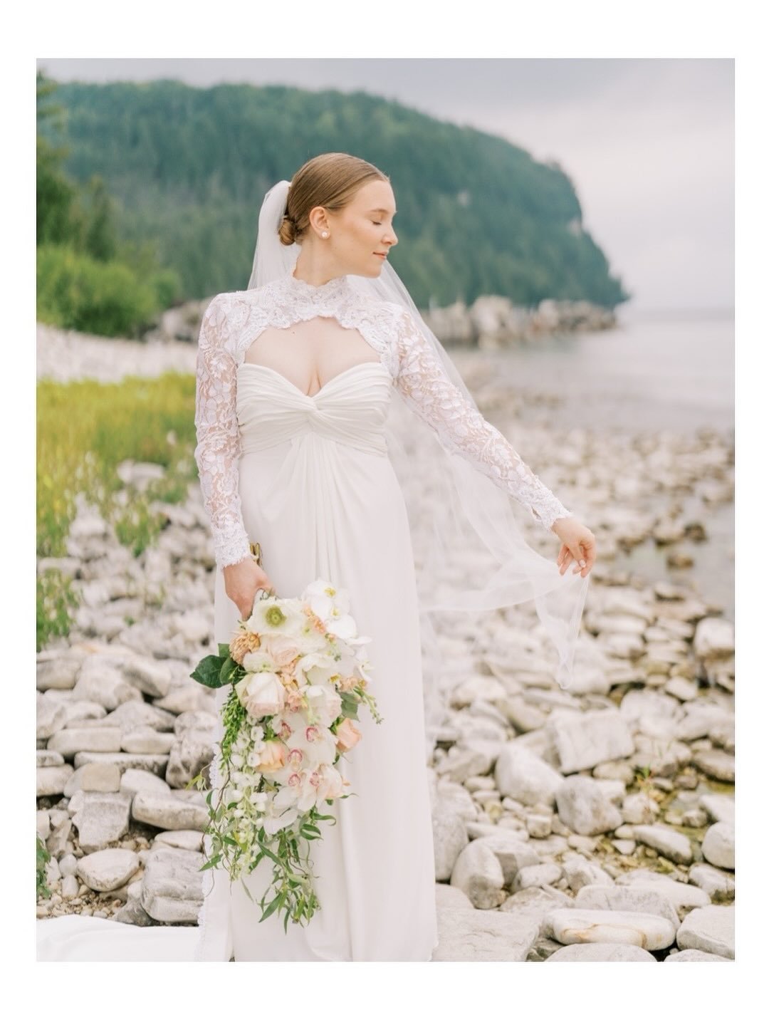 Cascading Ivory Romance