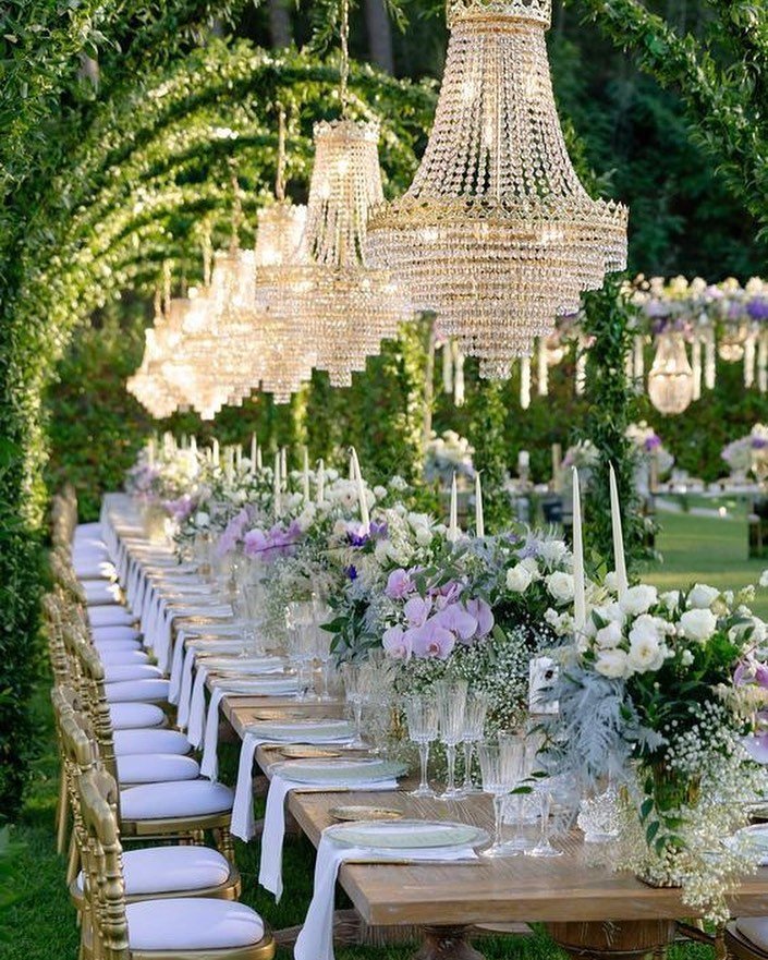 Crystal Canopy Elegance 