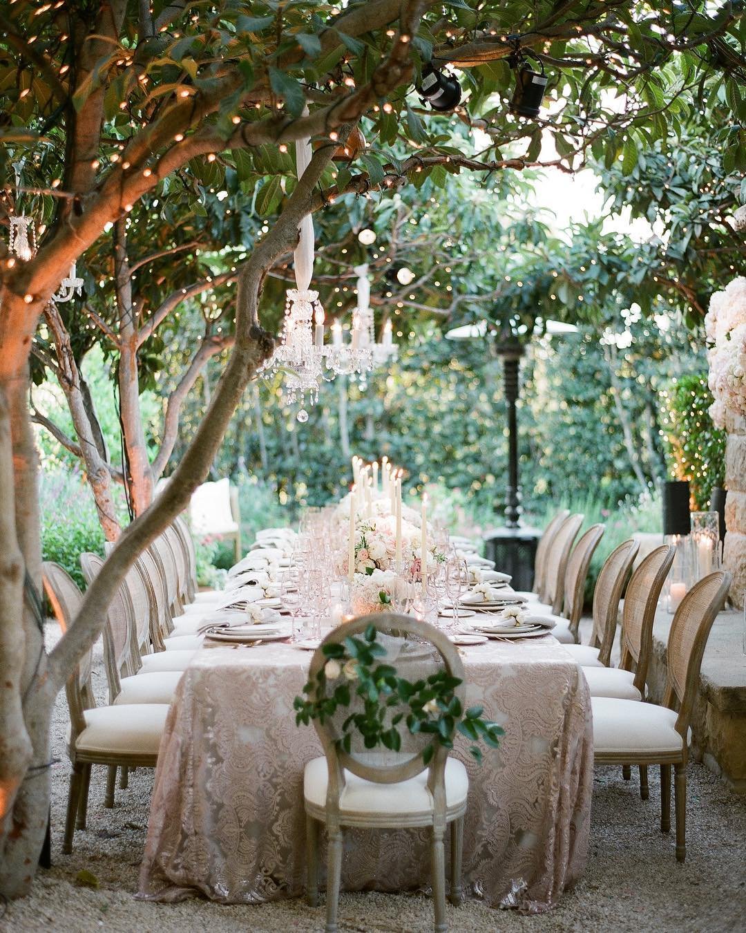 Enchanted Dinner Under Trees