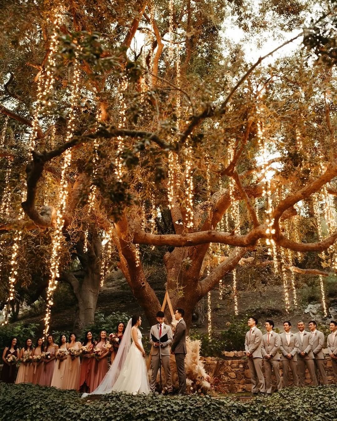 Enchanted Tree Lights