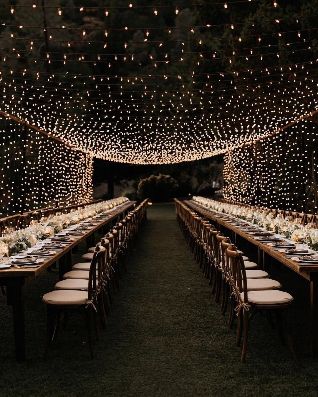 Endless Starry Canopy