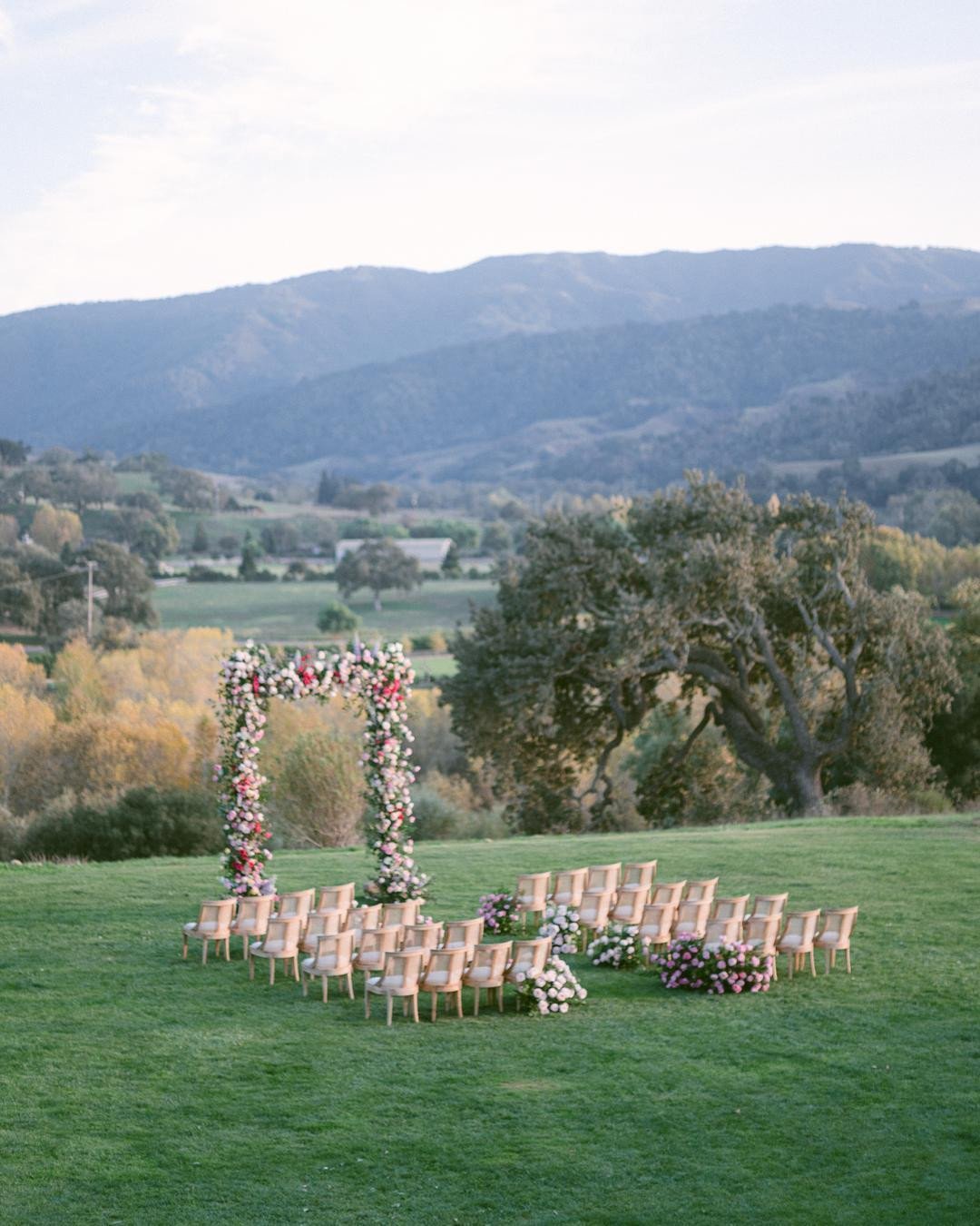 Meadow Fairytale 