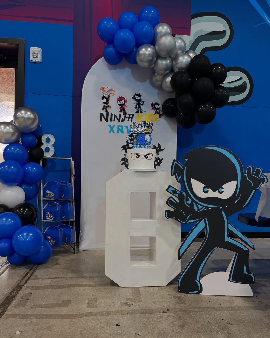 Ninja Training Zone