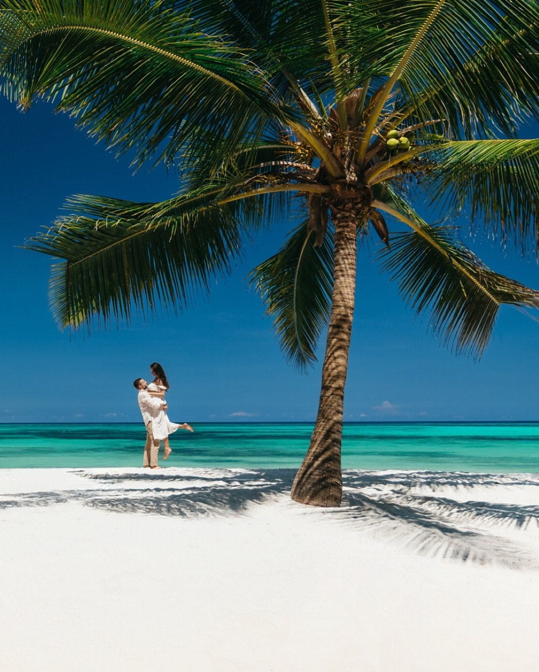 Palm Tree Embrace