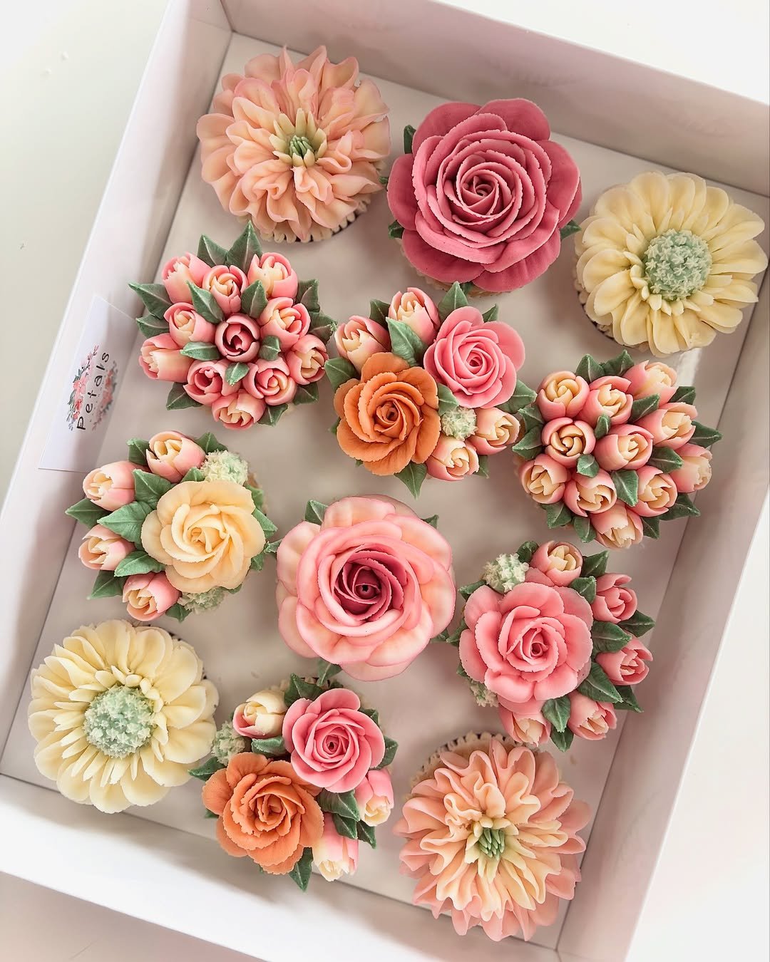Rose Explosion of Color 