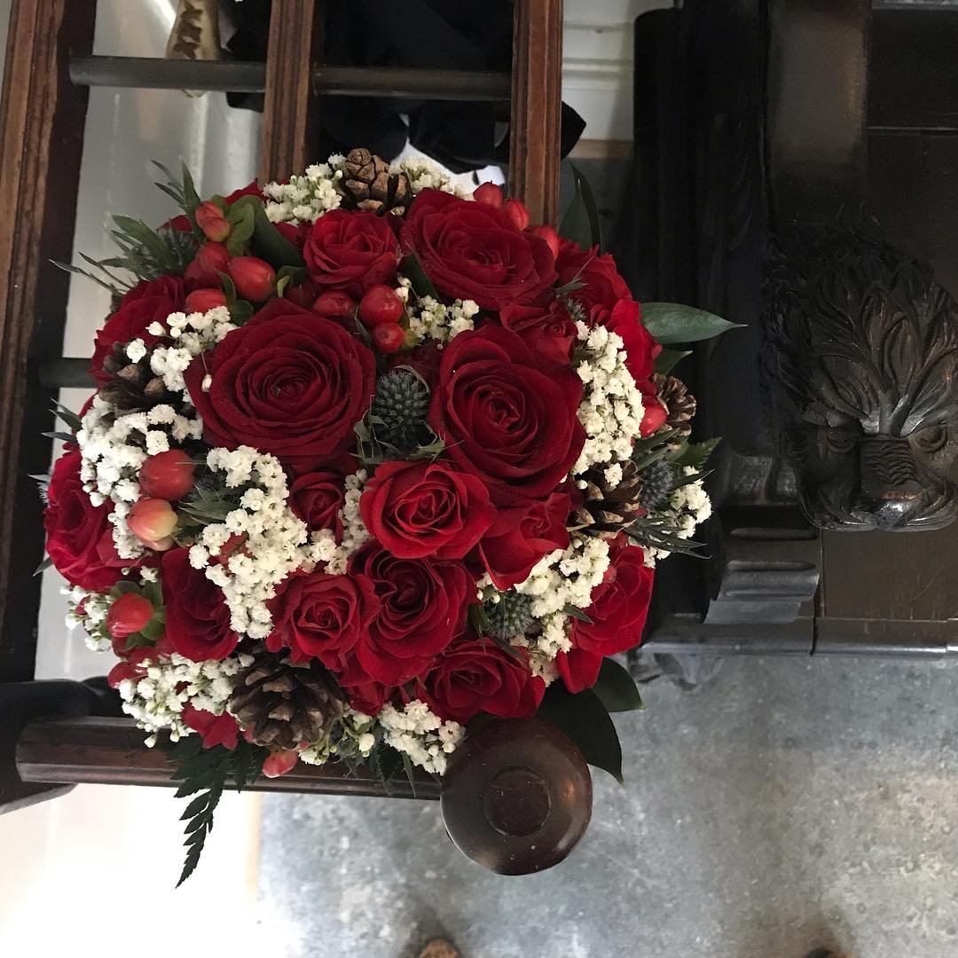 Scarlet & Ice Contrast 