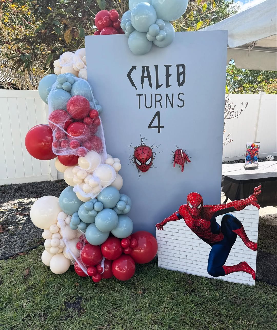 Spiderman’s Web 