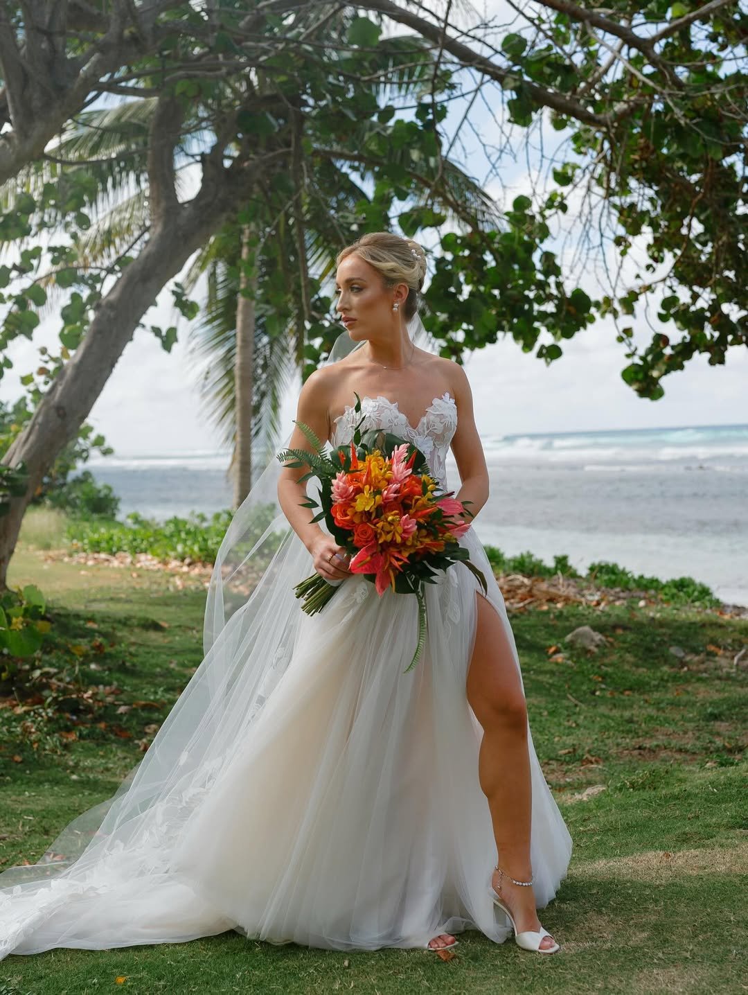 Tropical Autumn Glow