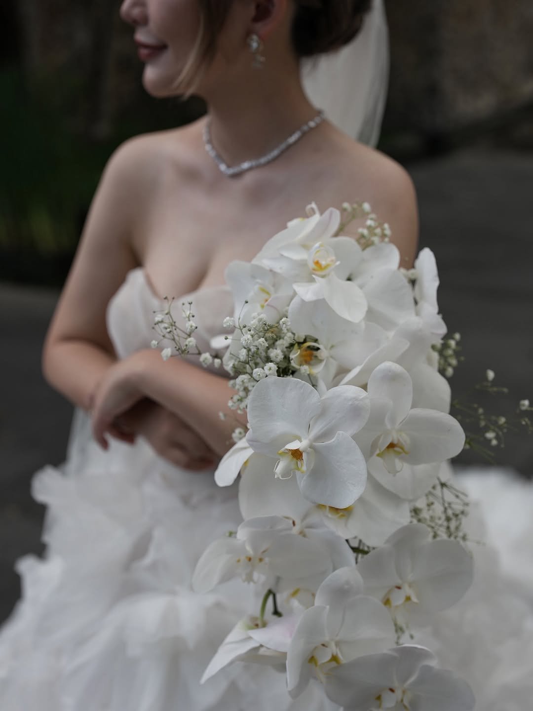 White Orchid Cascade 