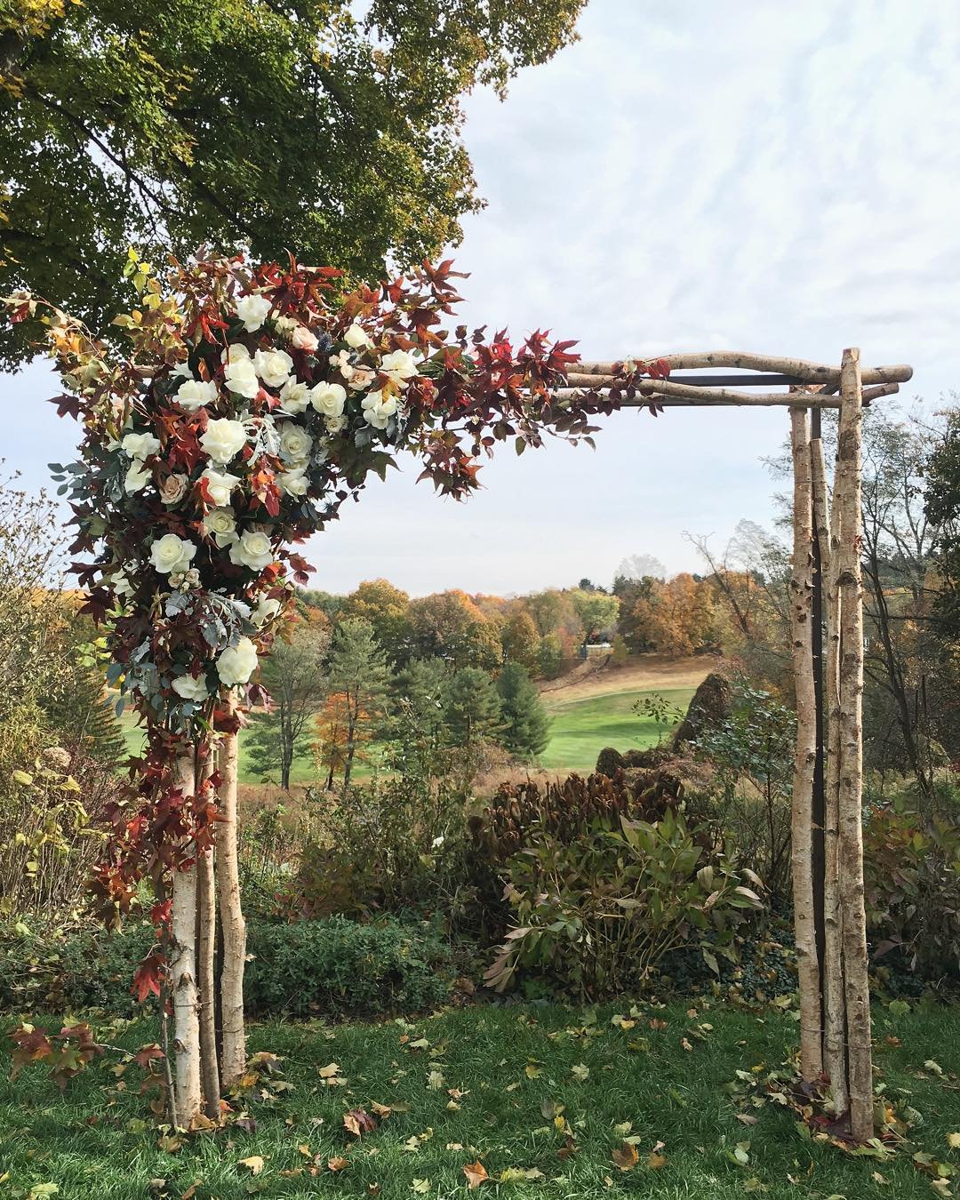 Woodland Branch Arch