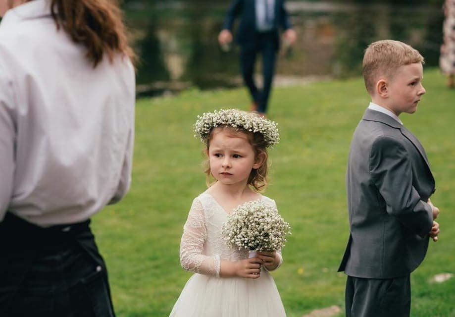 Baby’s Breath Serenity 