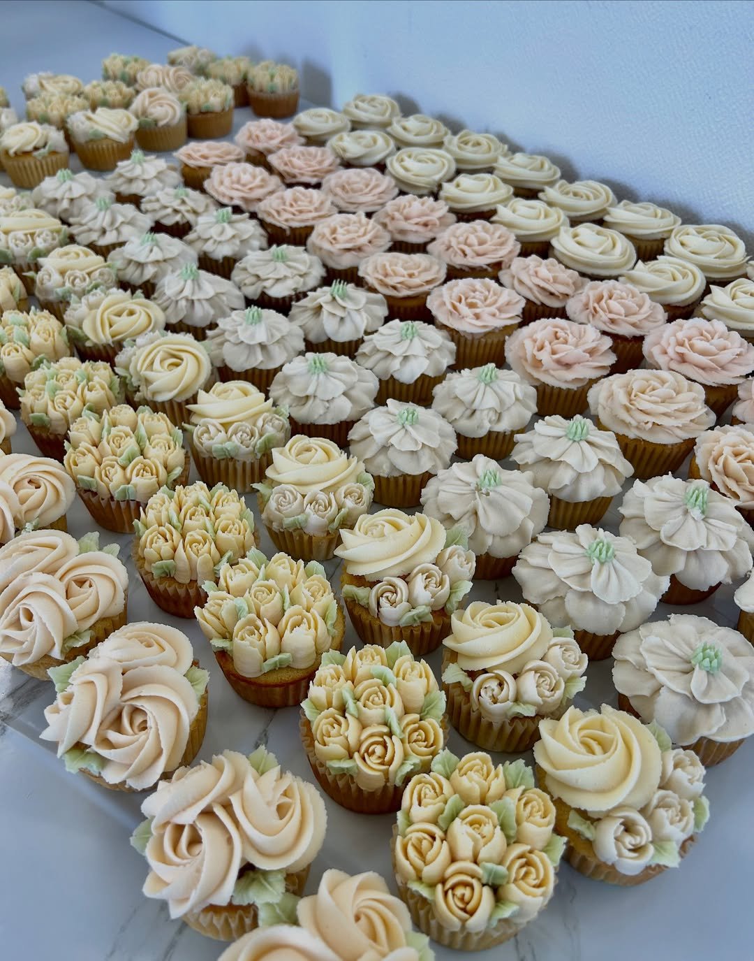 Blooming White Fantasy