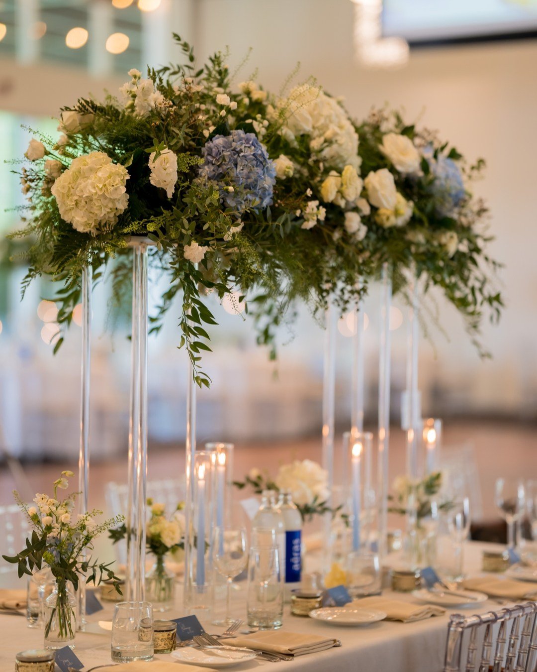 Blue Hydrangea Harmony 