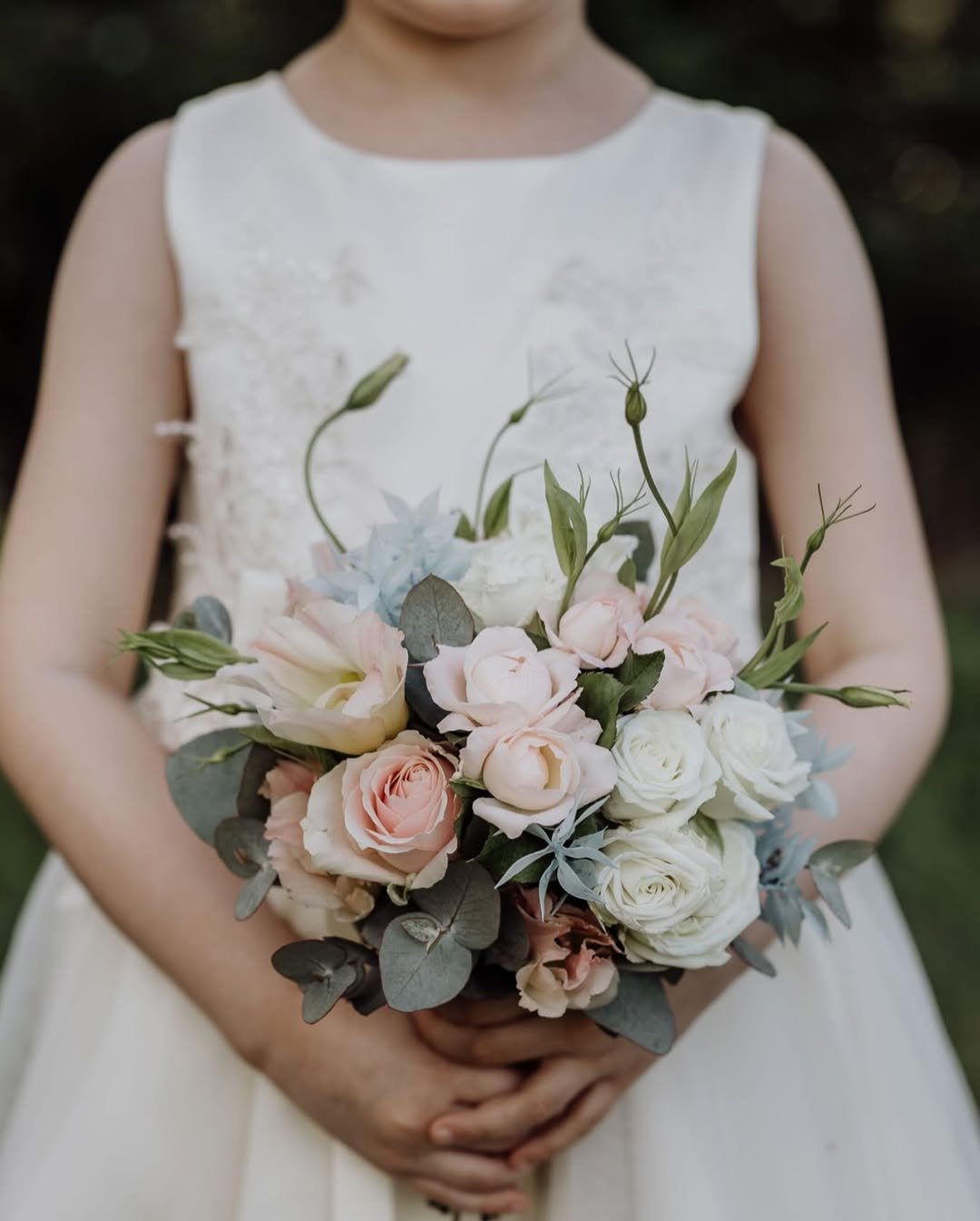 Blush Garden Whispers 