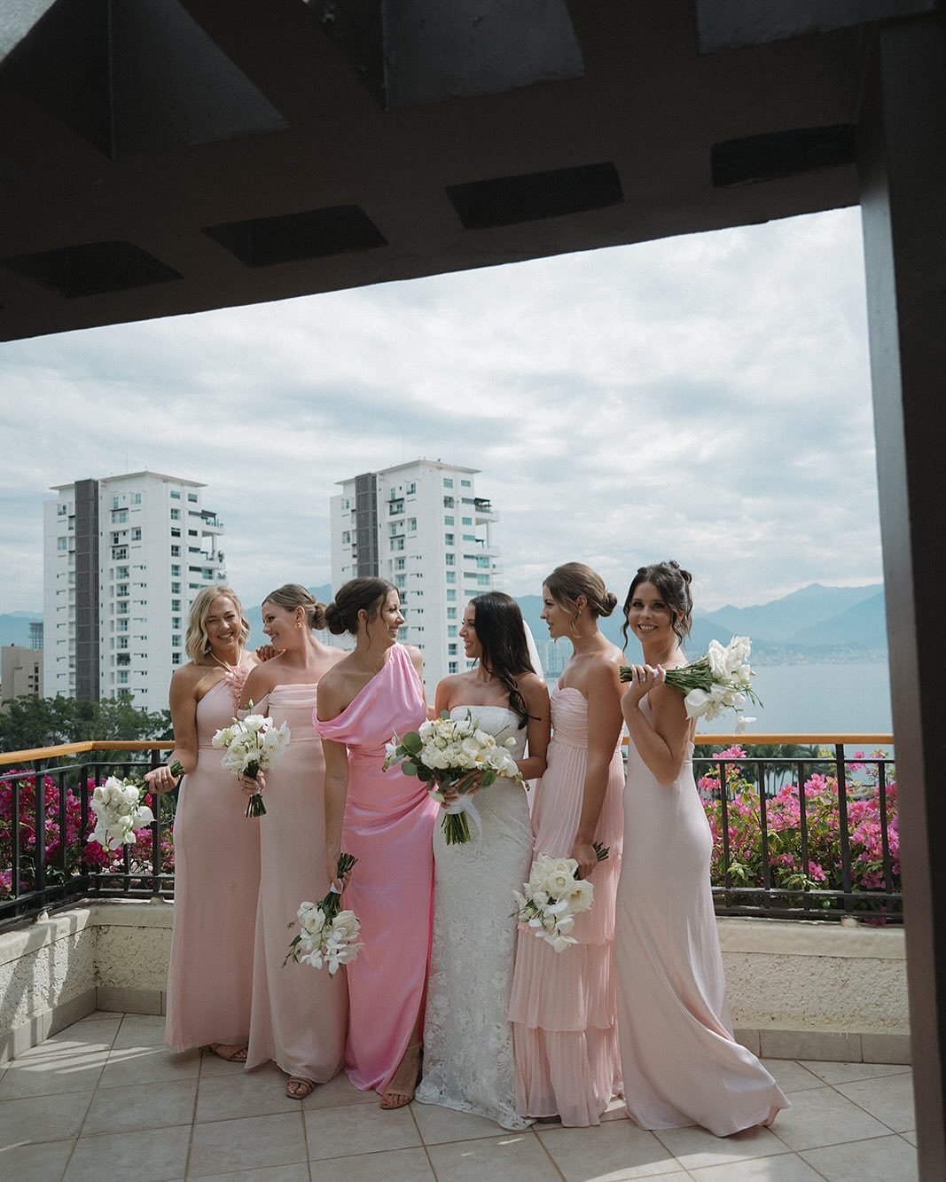 Blush Whispers in the Sun