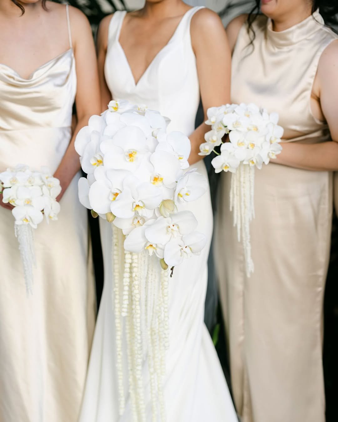 Cascading Orchid Grace