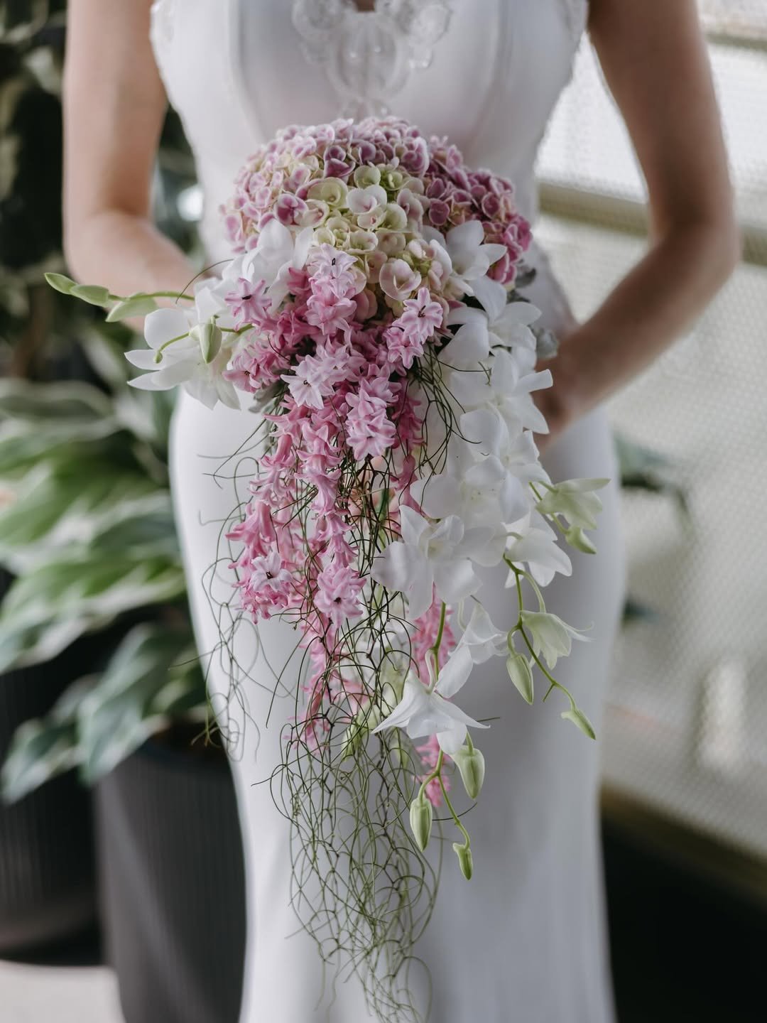 Cascading Orchid Symphony