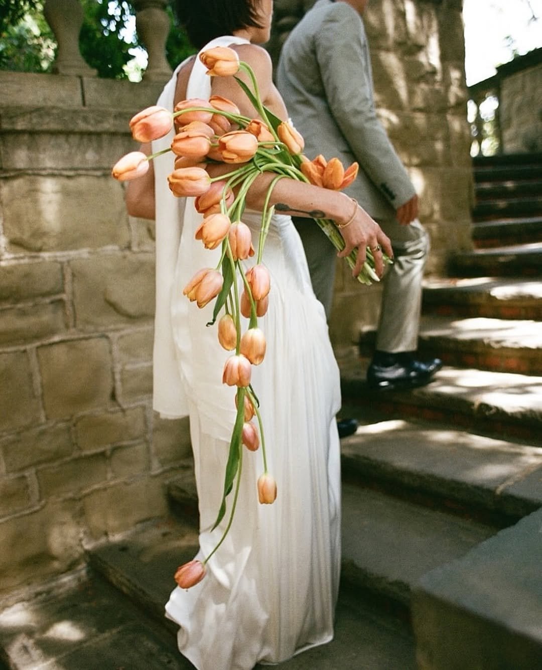 Cascading Tulip Drama