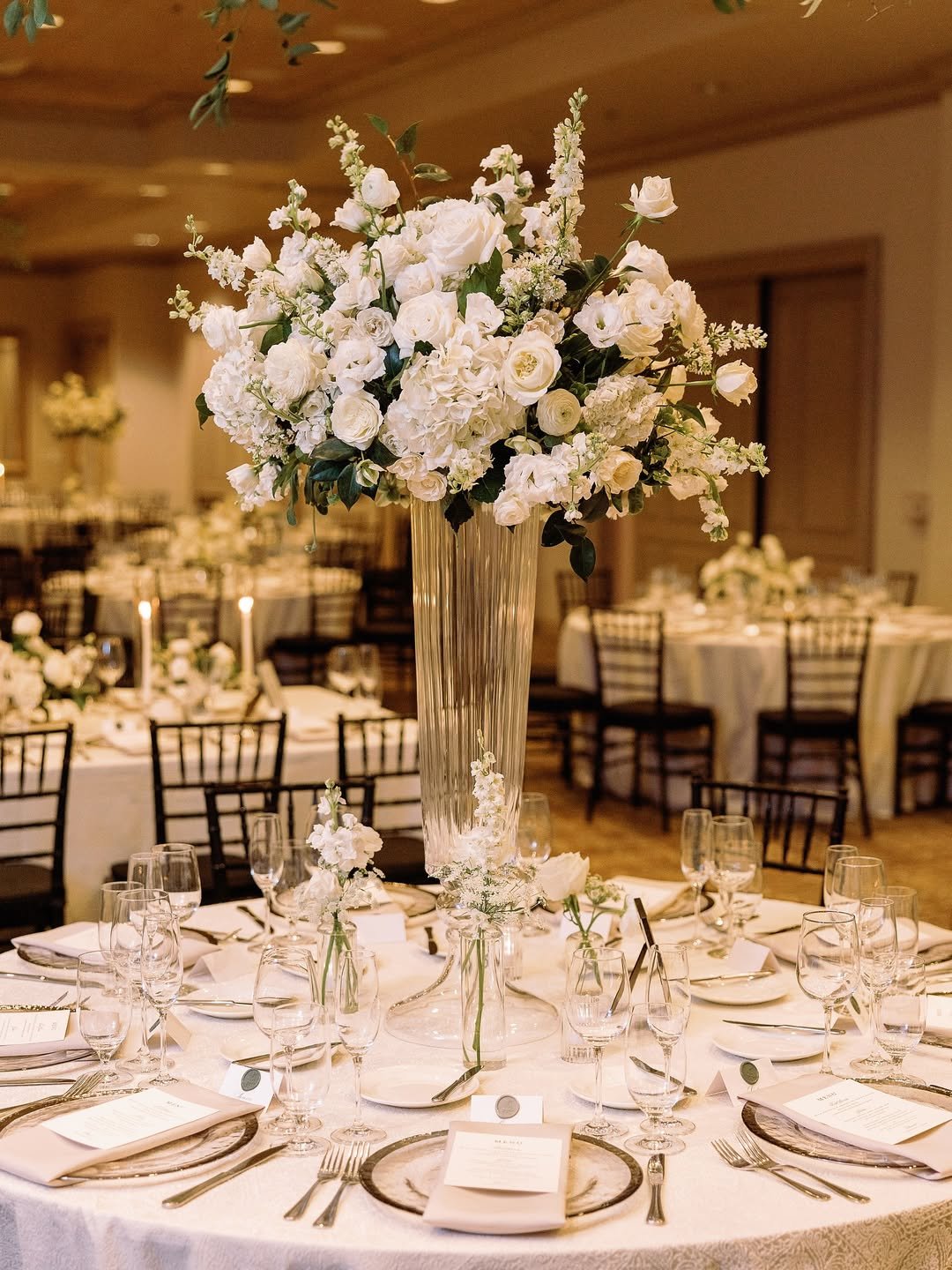 Classic Ivory Perfection 