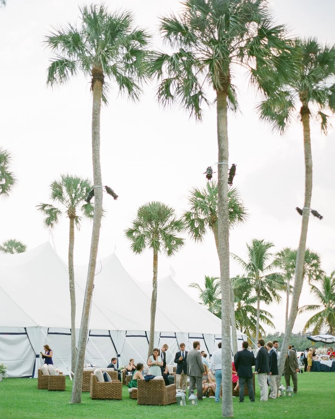 Coastal Garden Soirée 