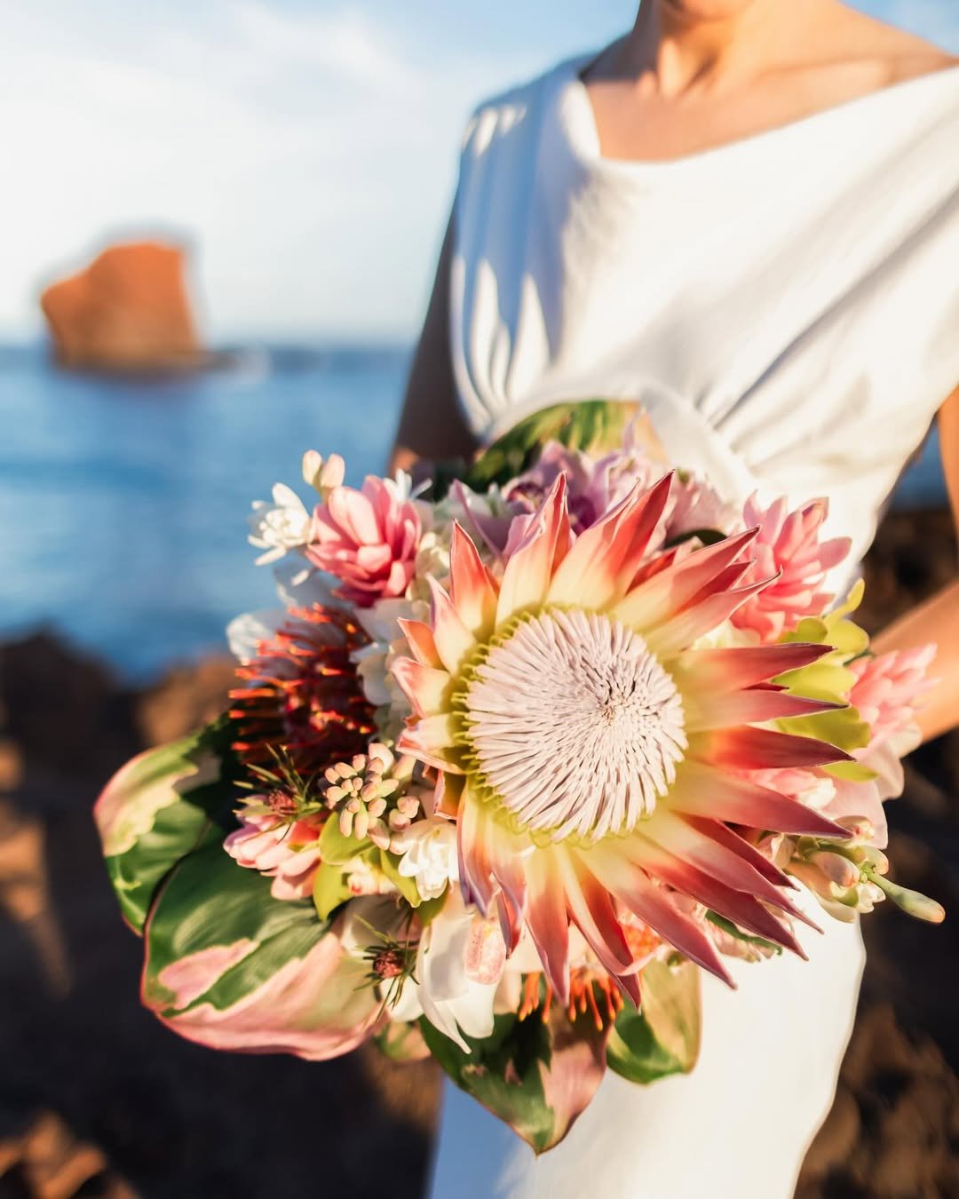 Coastal Protea Beauty