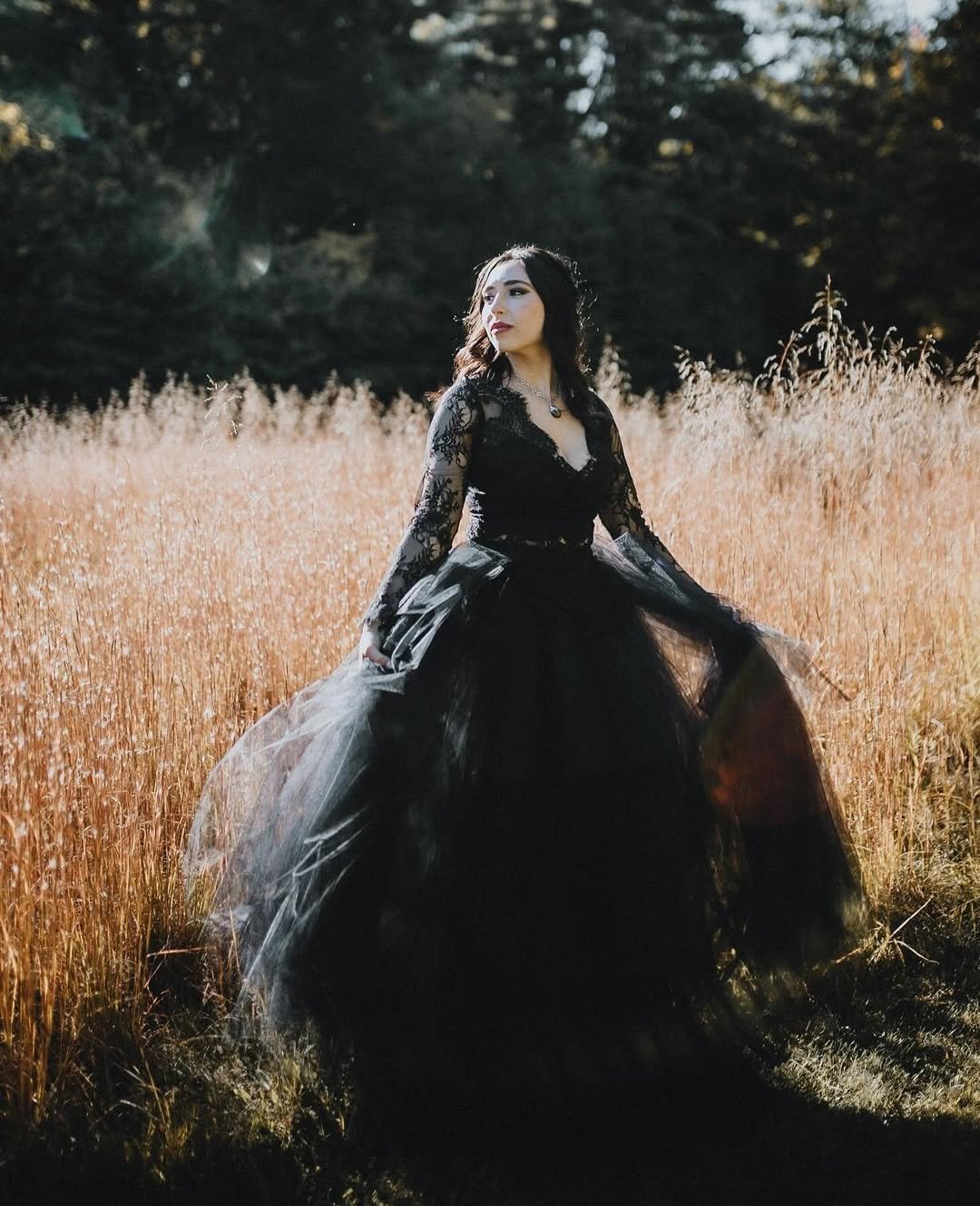 Dark Fairytale Bride