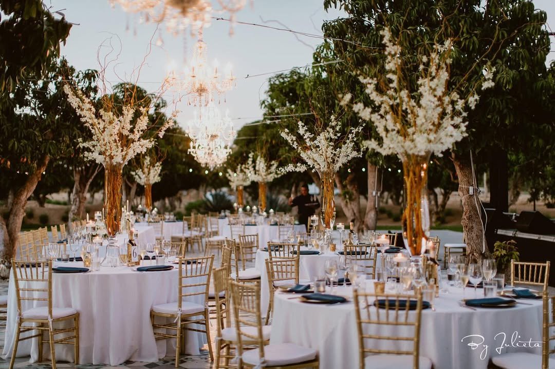 Enchanted Garden Glow 