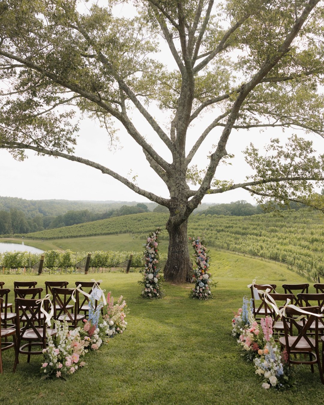 Enchanted Vineyard Vows