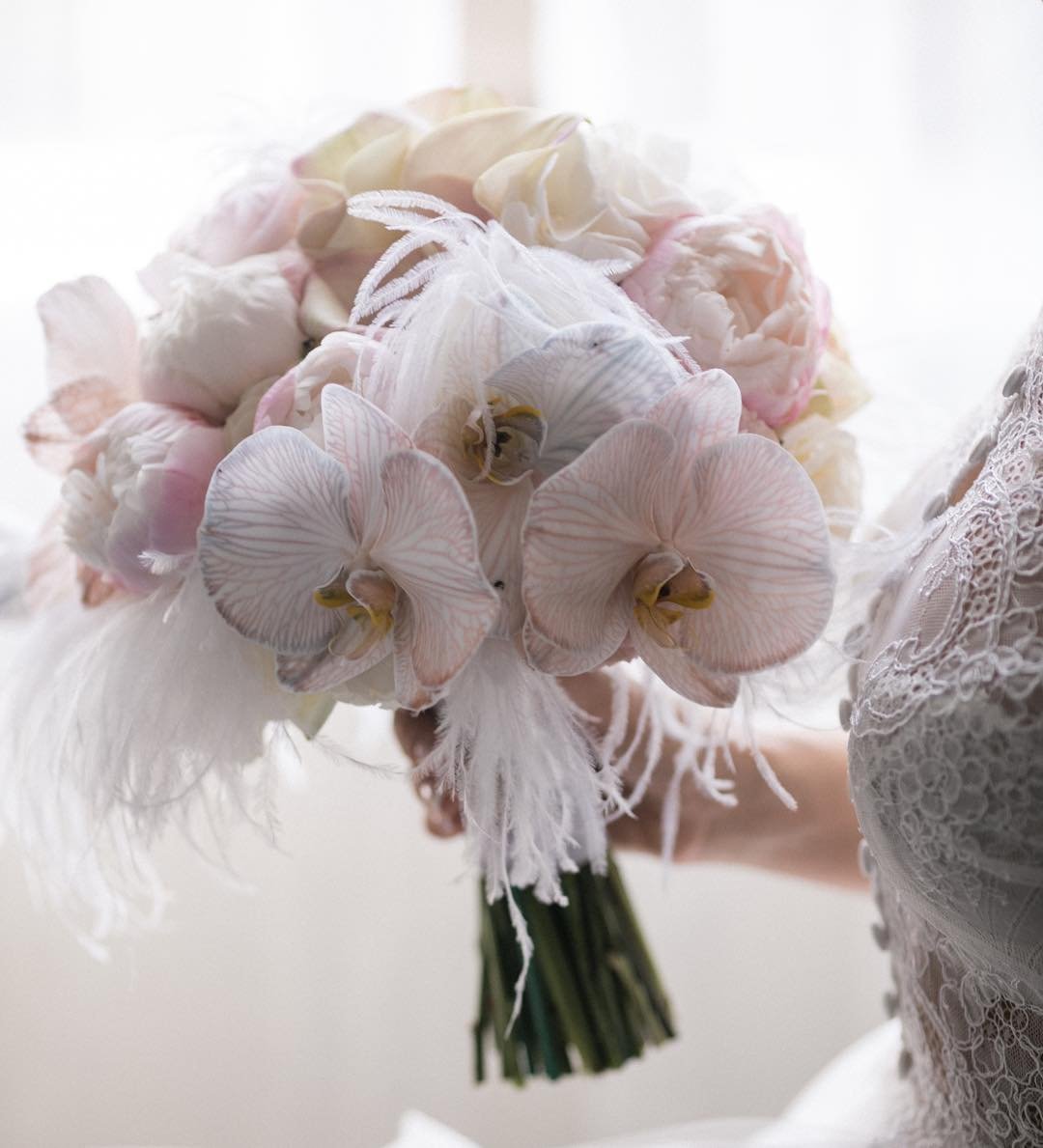 Feathered Perfection 