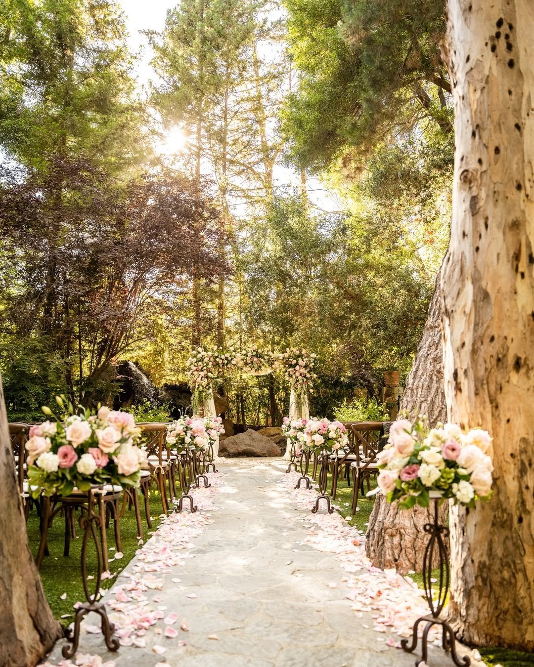 Forest Aisle Romance