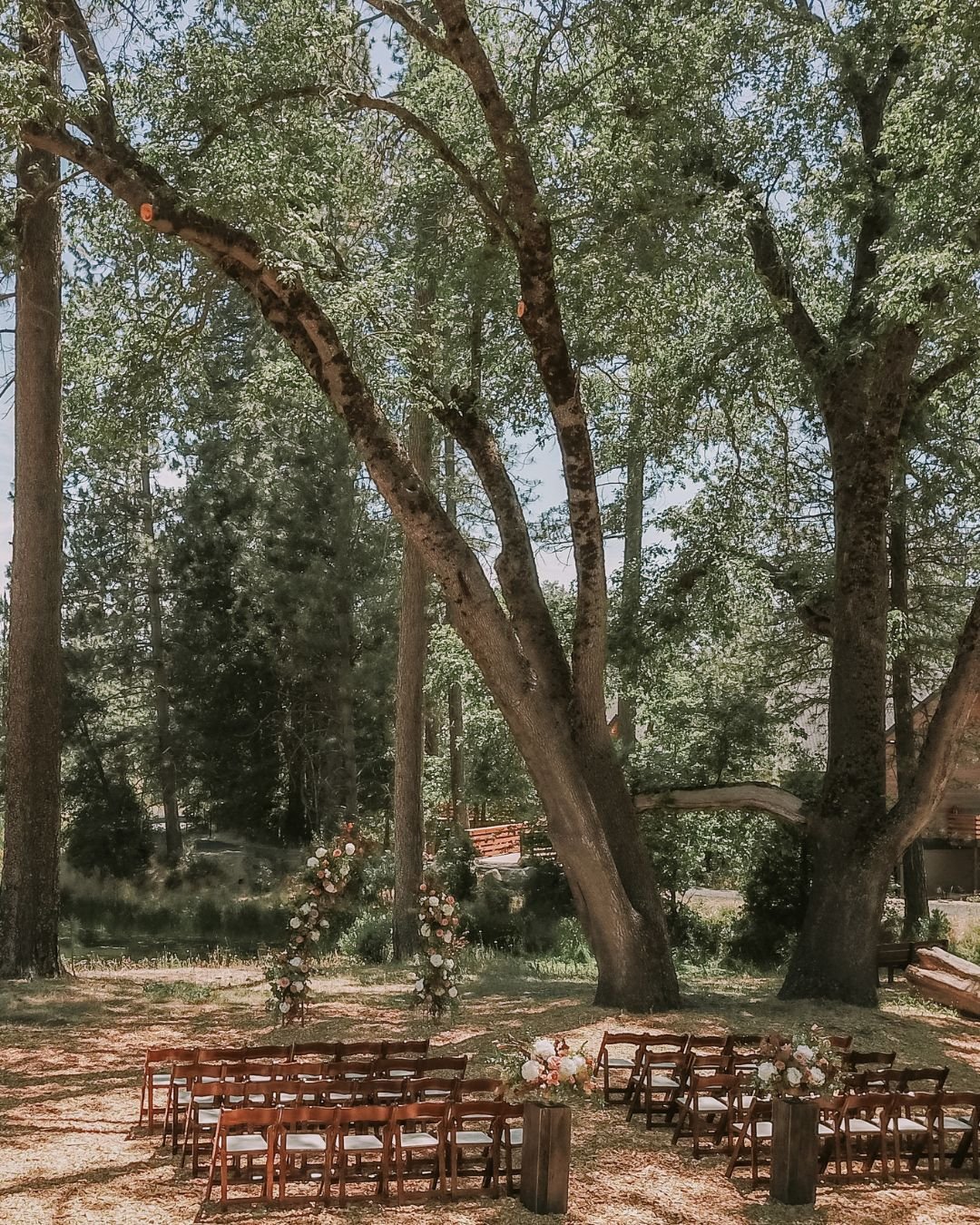 Mountain Meadow Vows