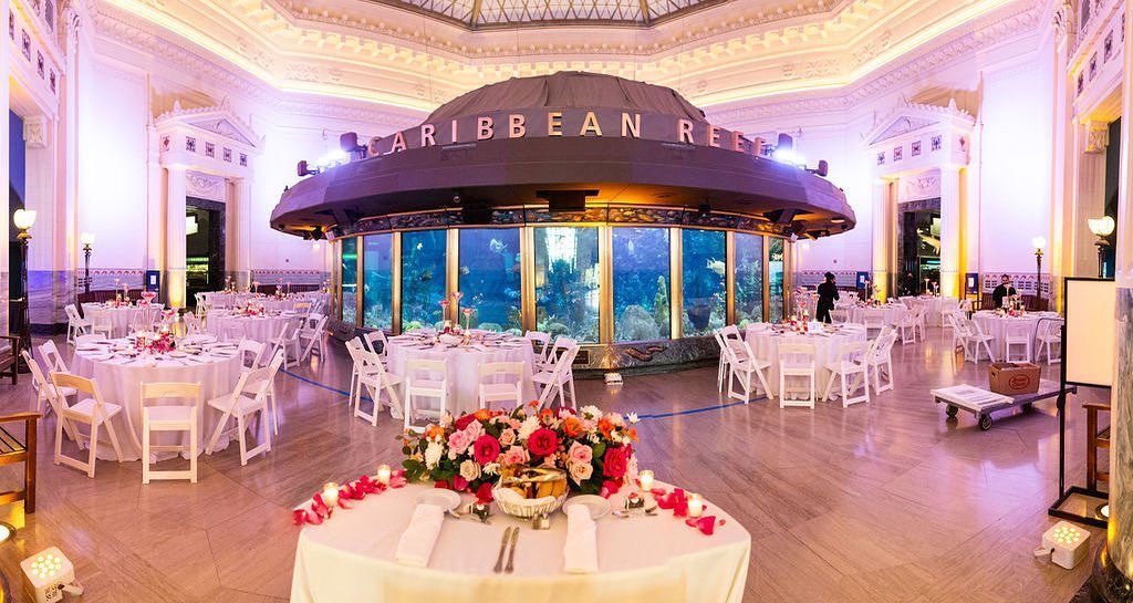  Oceanic Ballroom Magic 