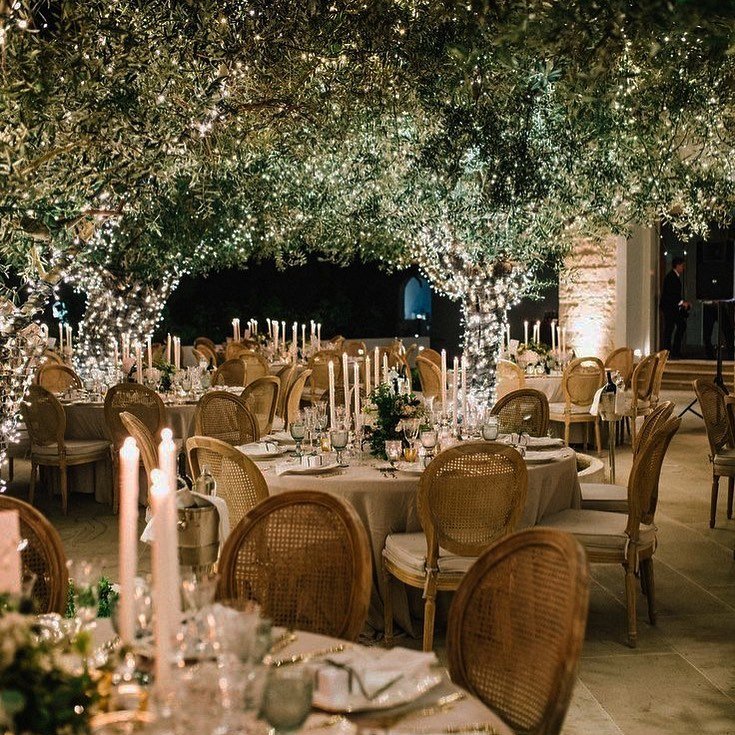 Olive Grove Enchantment