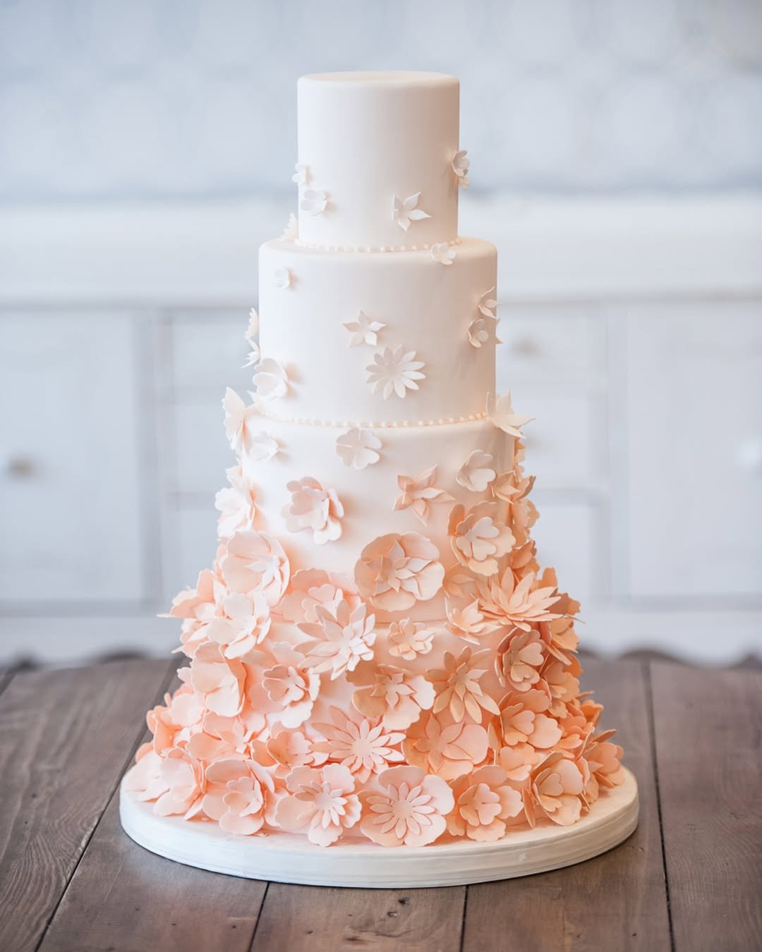  Peach Blossom Dream