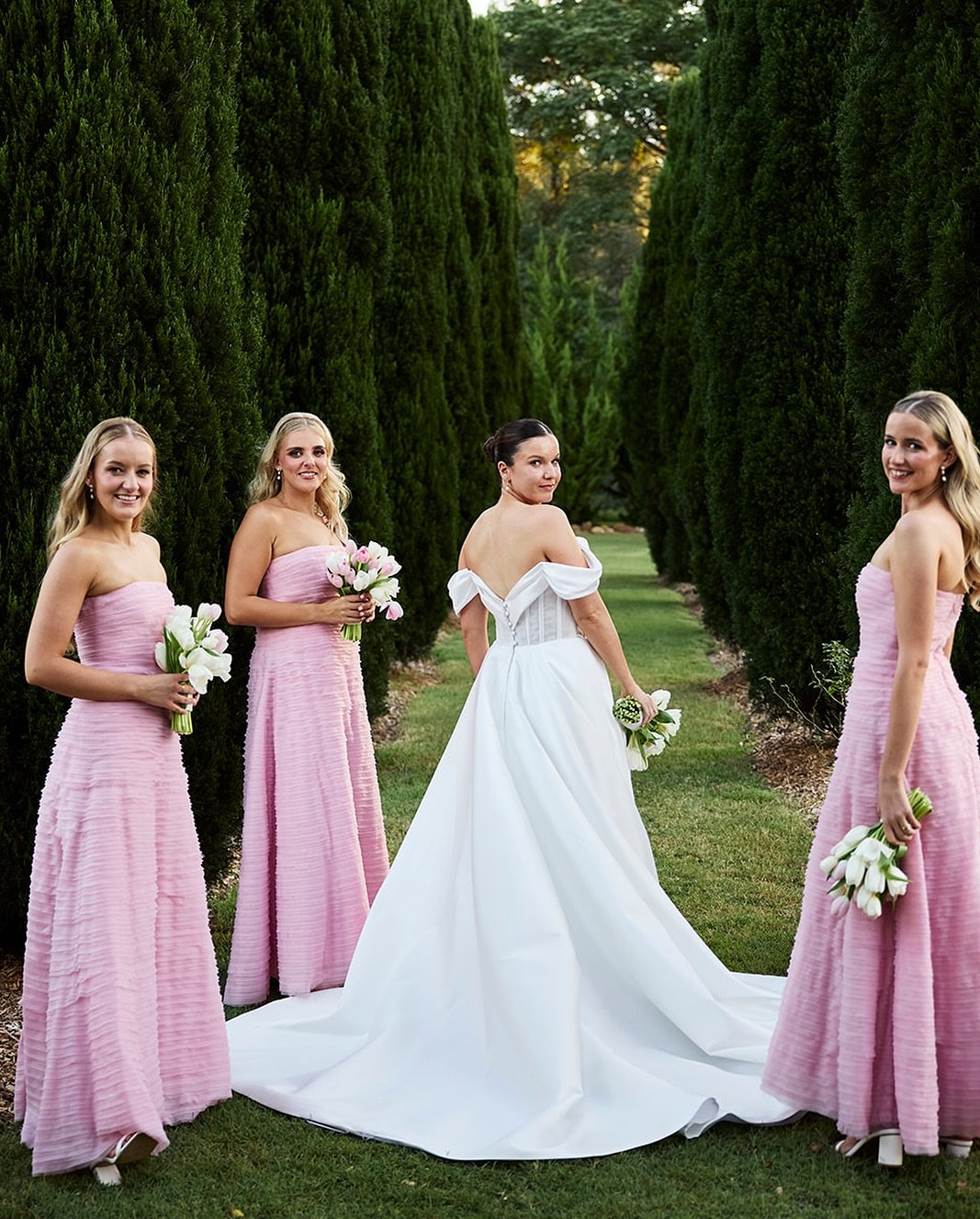 Pink Perfection Among the Pines