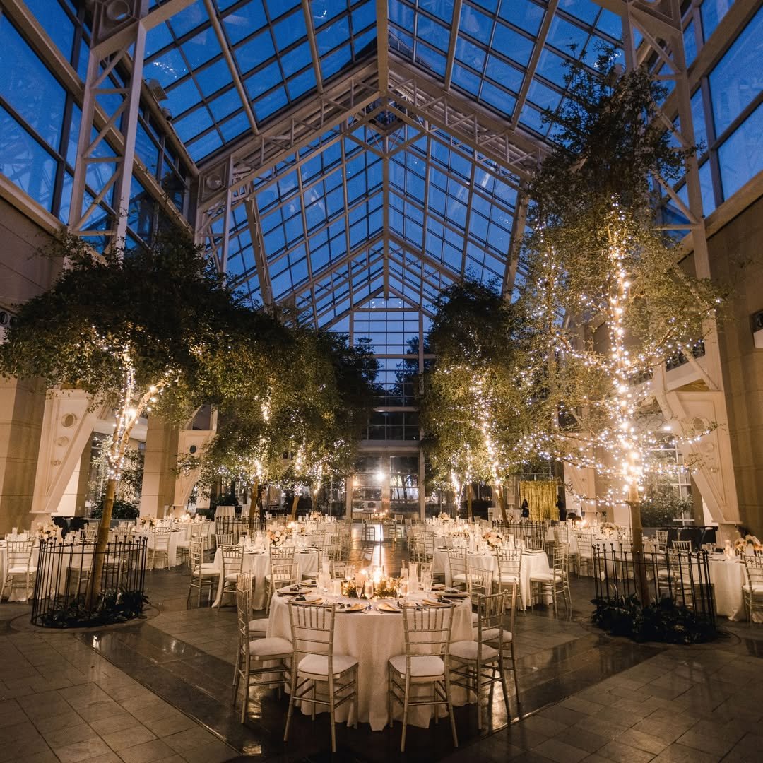 Starlit Atrium Magic