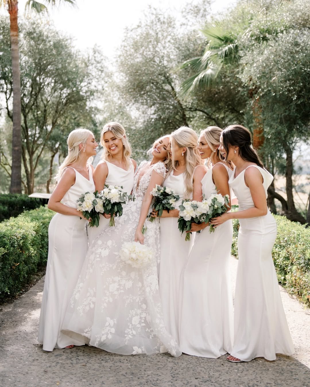 Timeless Garden Radiance 