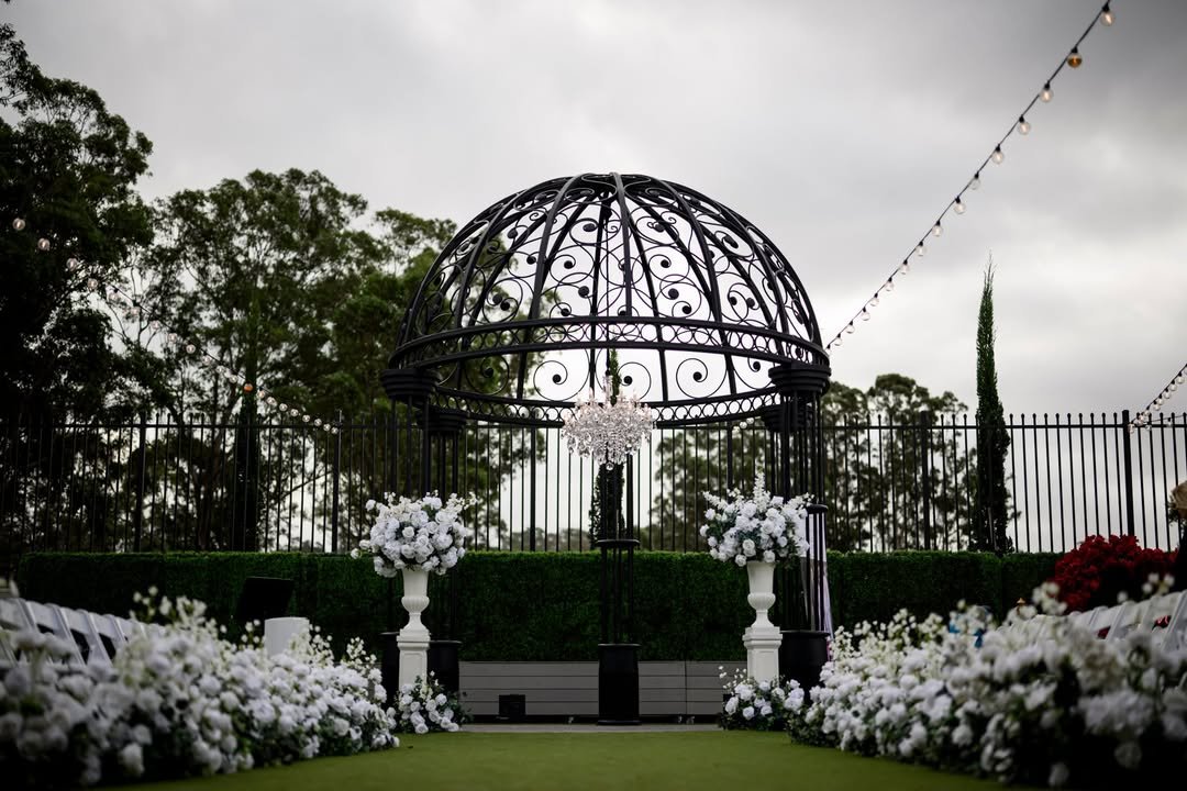Dramatic Iron Dome Ceremony 