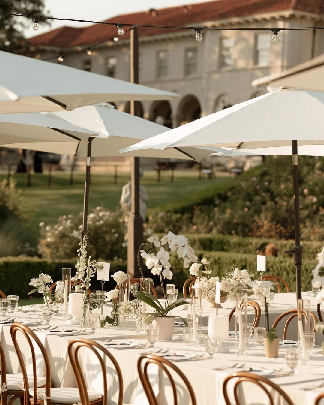 European-Inspired Lawn Dinner