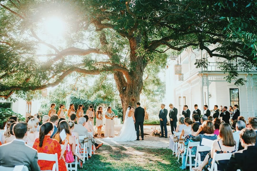 Sunlit Tree Ceremony 